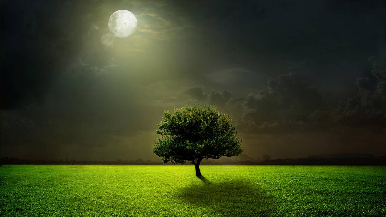 绿色草地树云月亮夜晚月光风景4k壁纸