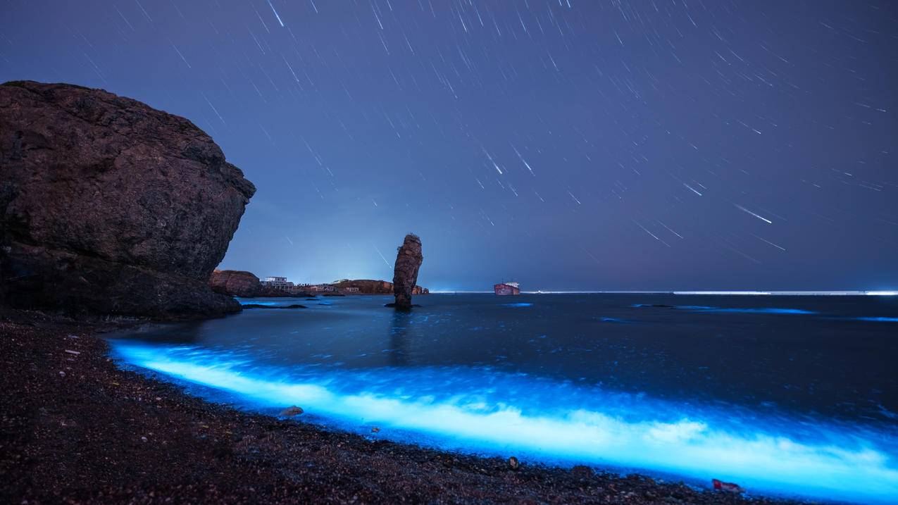 海洋 海边 蓝眼泪 4k 风景