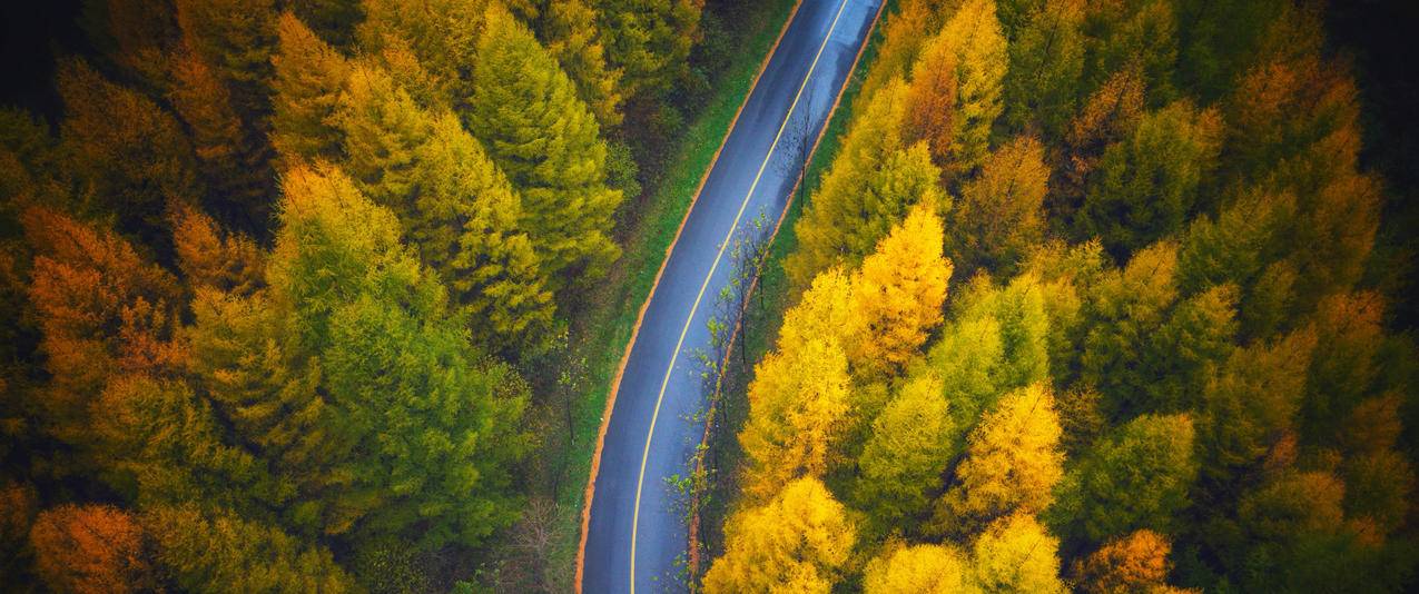 秋天鸟瞰风景 森林 公路 美景 3440x1440 高清 壁纸