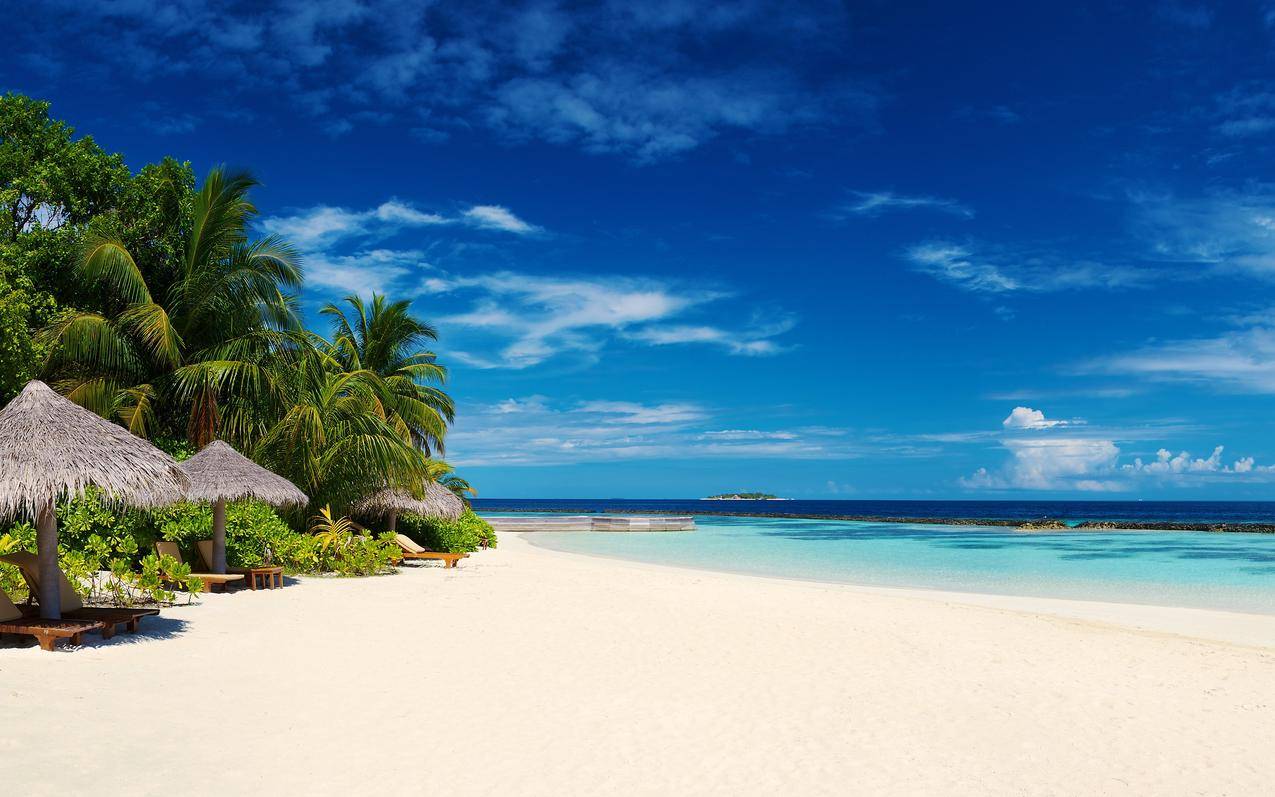 海边沙滩 树 太阳 大海风景平板电脑iPad高清风景壁纸_图片编号331541-壁纸网