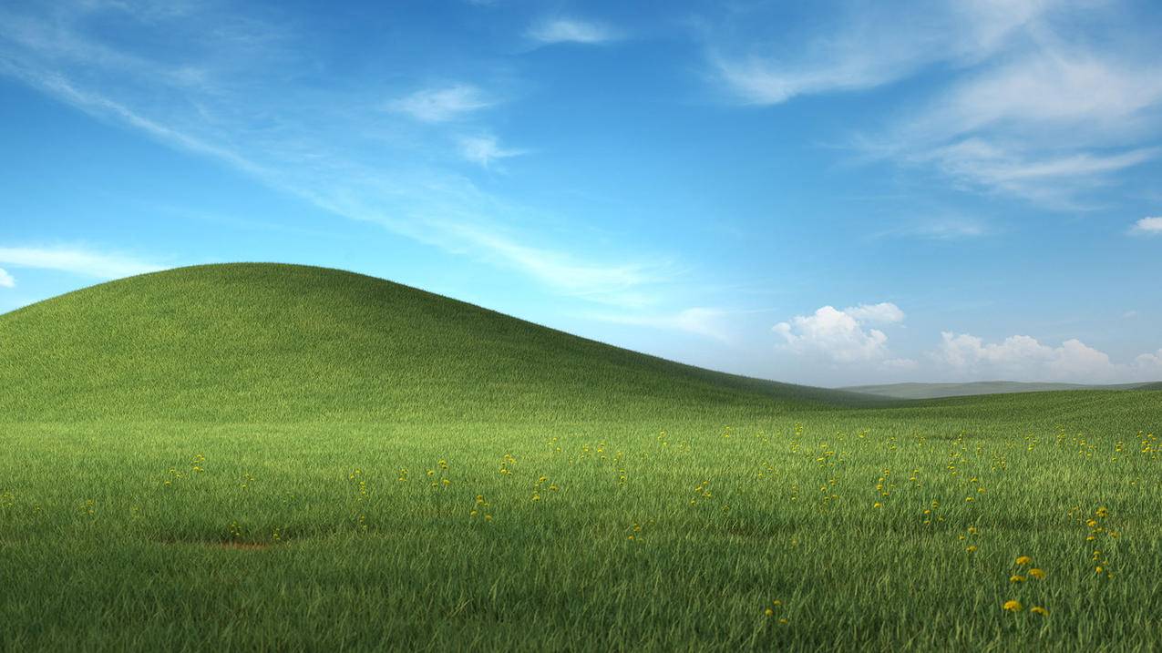 微软最新Windows XP 蓝天白云绿草地 蒲公英风景壁纸 4k手机壁纸