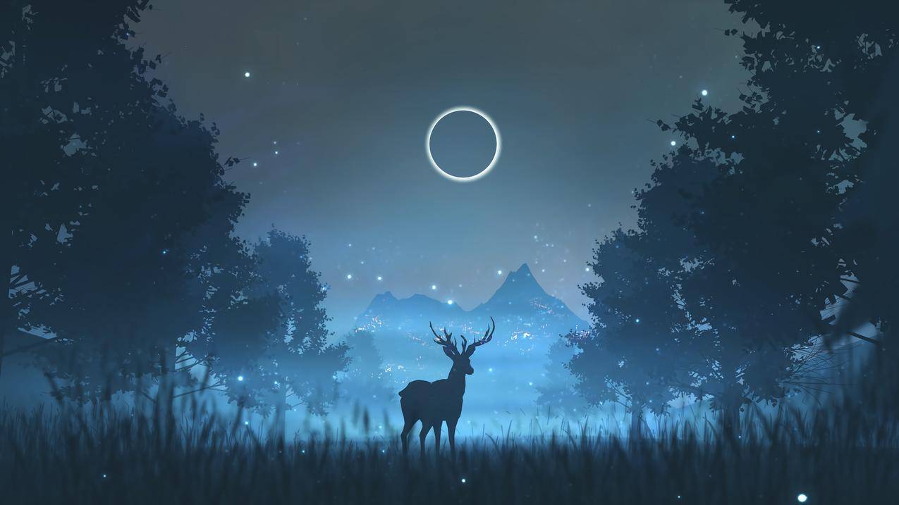 森林 夜晚 月亮 唯美意境4k壁纸3840x2160