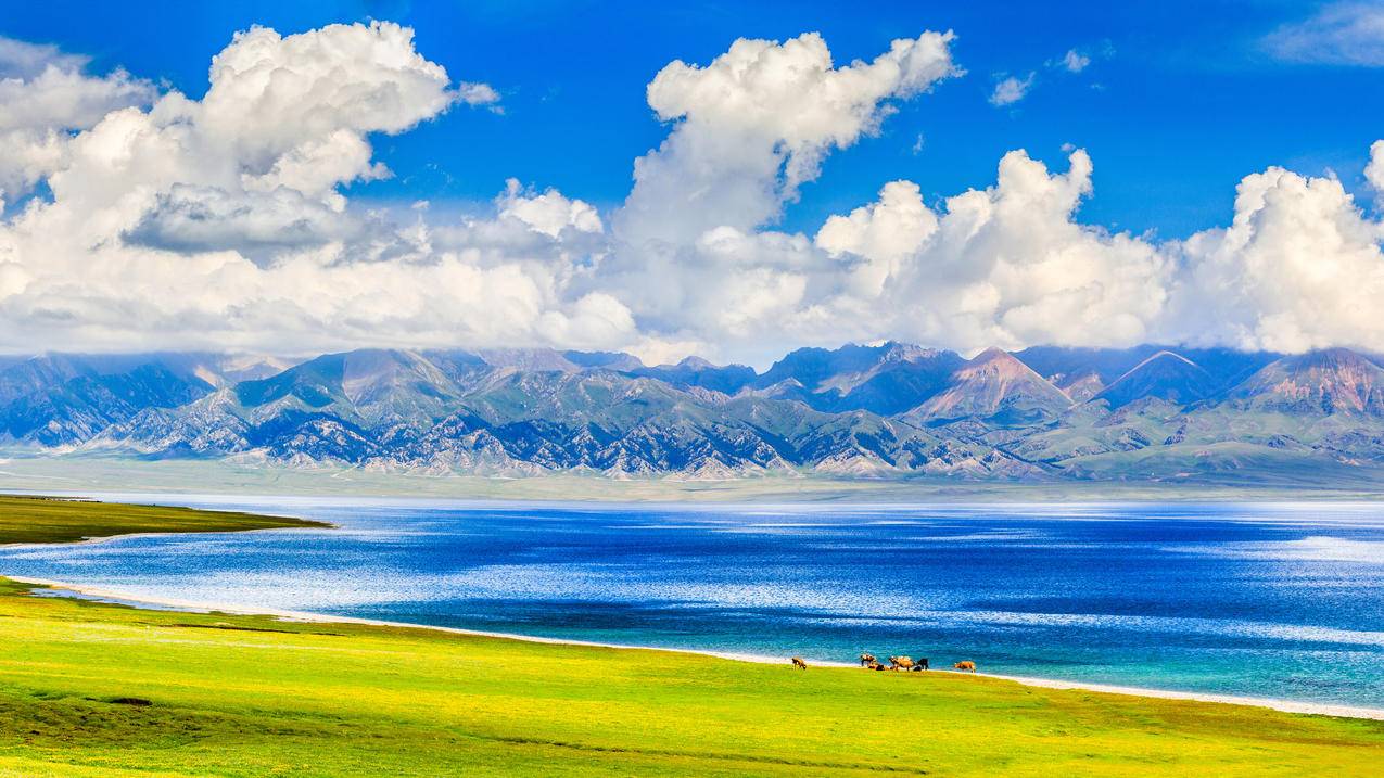 夏季的赛里木湖风景4K壁纸