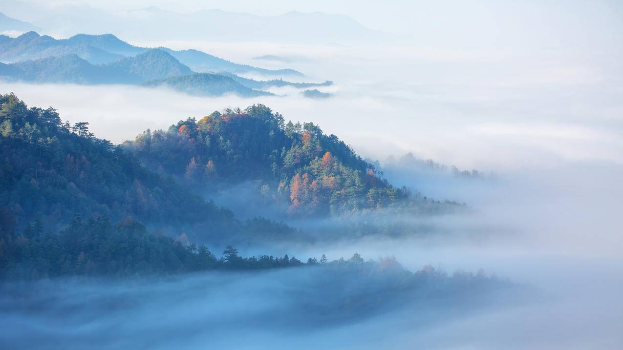 森林 雾 唯美 4K风景壁纸 3840x2160