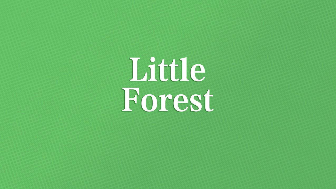 文字简约littleforest4k壁纸