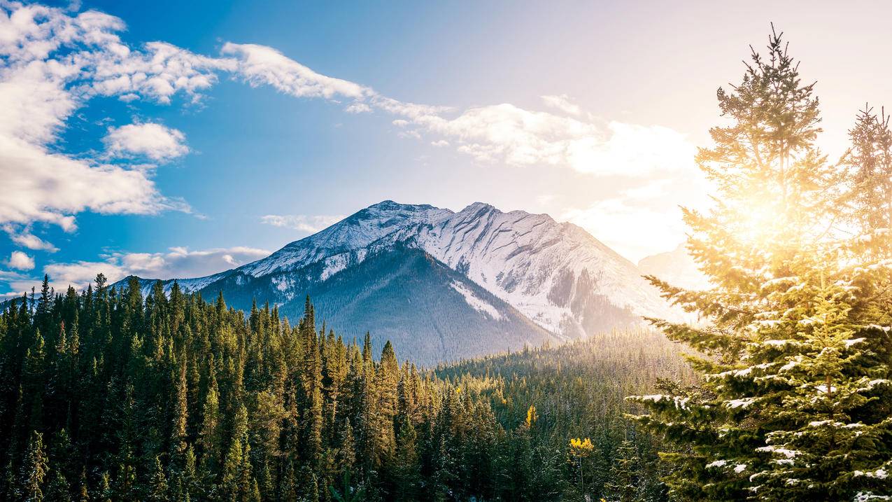 风景 山脉乌云森林 雪峰 树木 4K高清壁纸