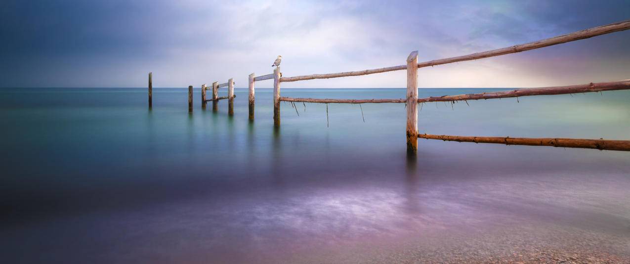 海边风景带鱼屏壁纸