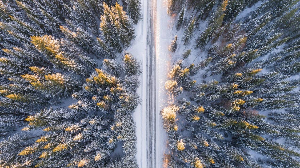 俯视 森林 雪景 风景 4k高清壁纸