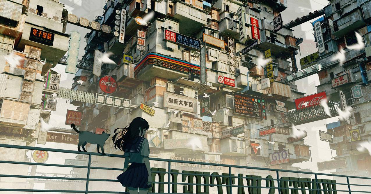 长发的女学生站立 栏杆 猫 旧城市建筑 招牌 4K动漫壁纸