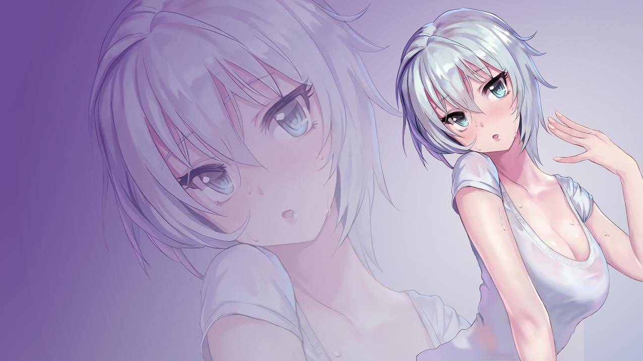 短毛猫4k壁纸