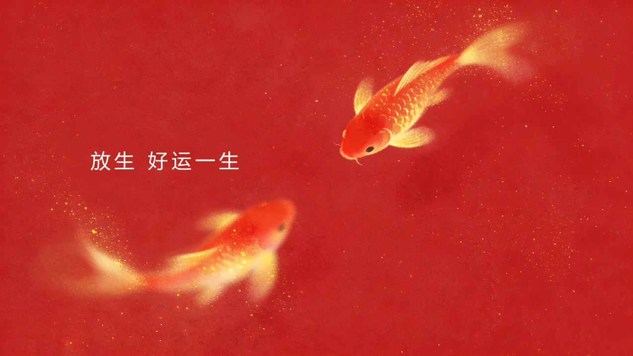 锦鲤 放生好运一生 4K壁纸 3840x2160