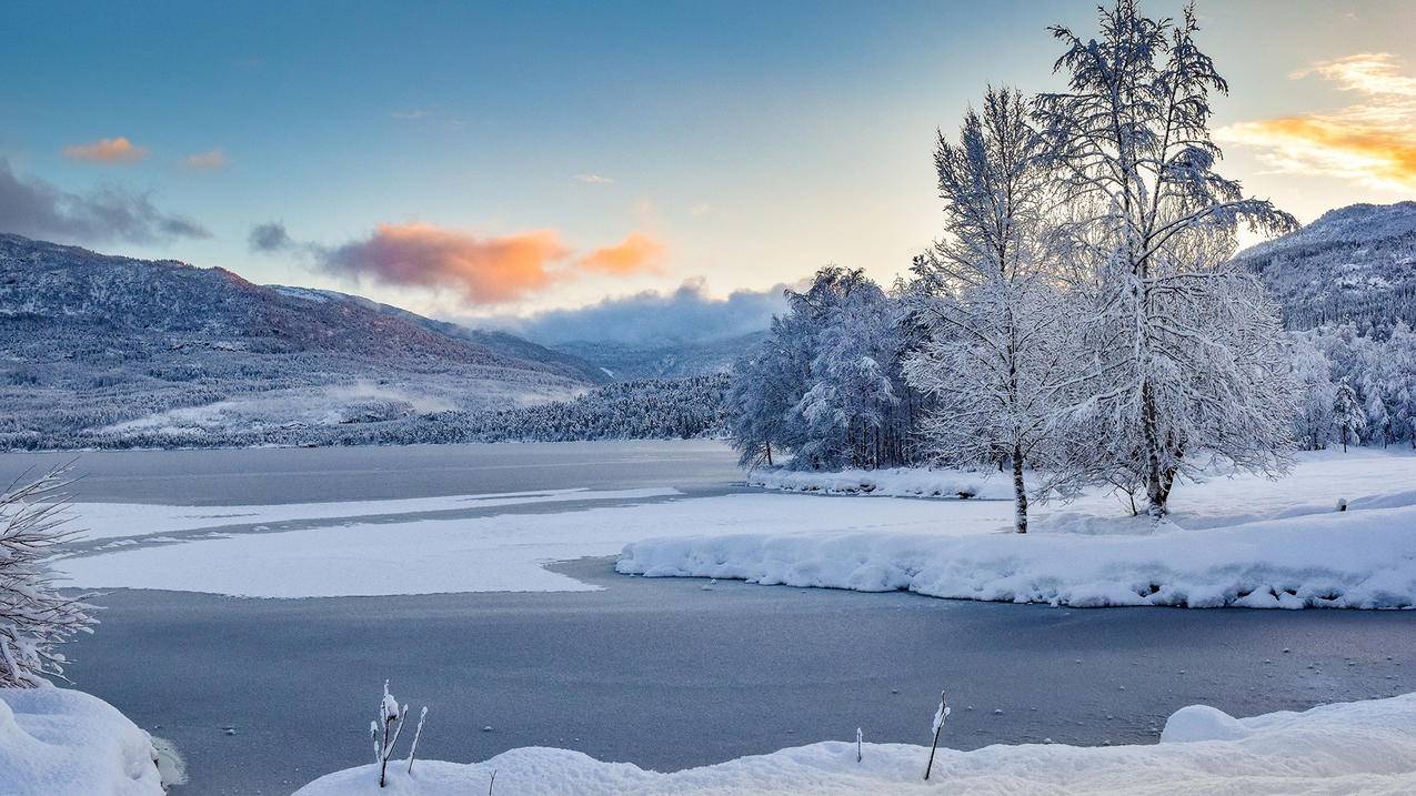 风景冰天雪地雾凇高清壁纸