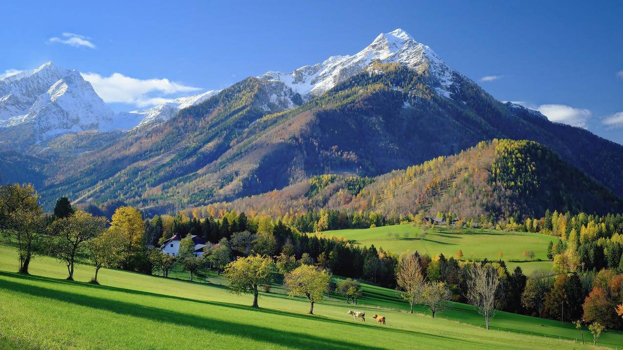 山峦 高山 草地 4k风景