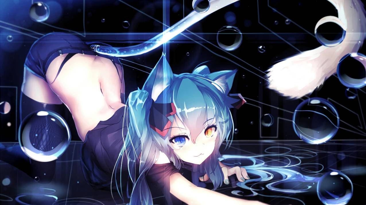 猫儿 初音未来4K高清动漫壁纸