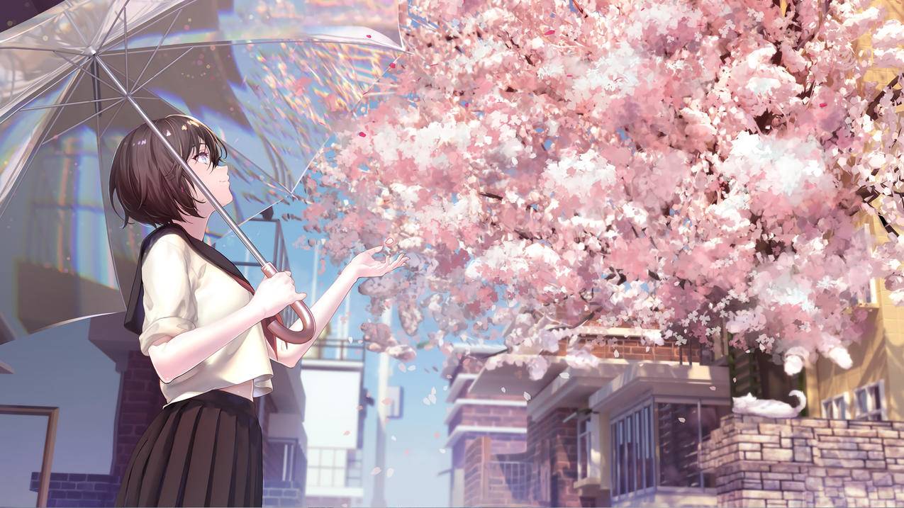 樱花 女生 4K动漫壁纸 3840x2160