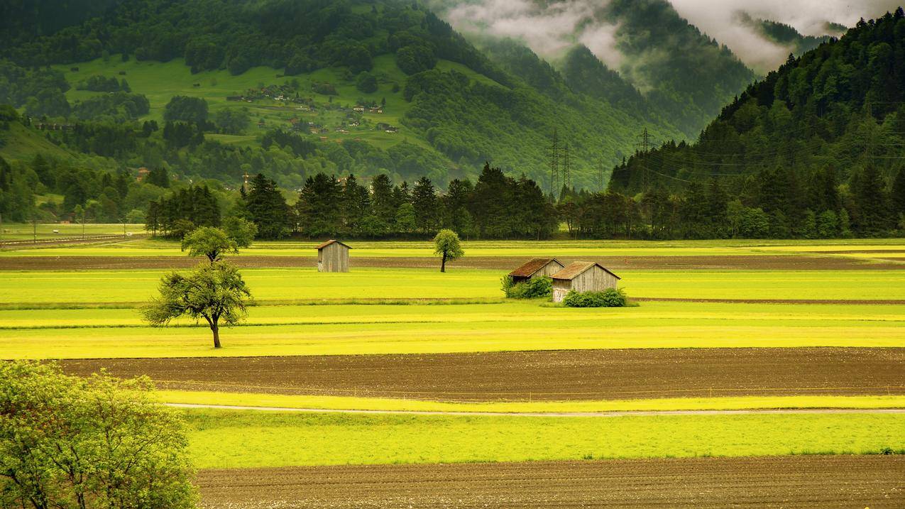 景观4k壁纸 编号239909