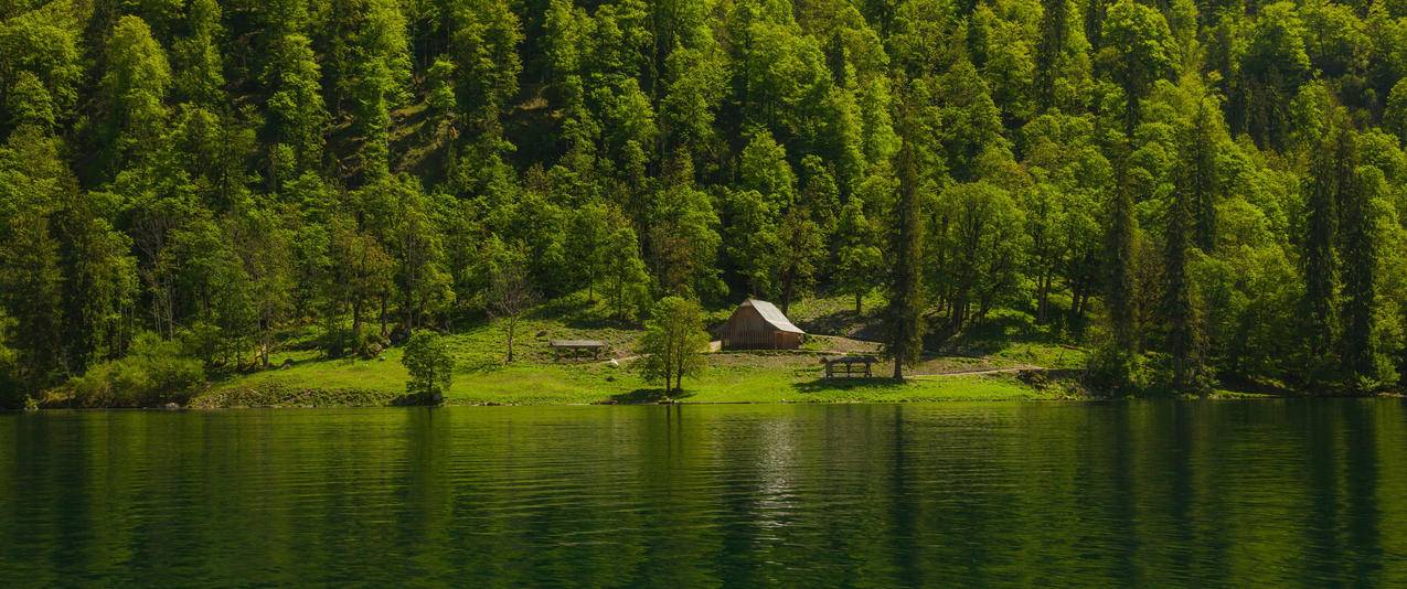 河流 森林 自然风景 3440x1440带鱼屏壁纸