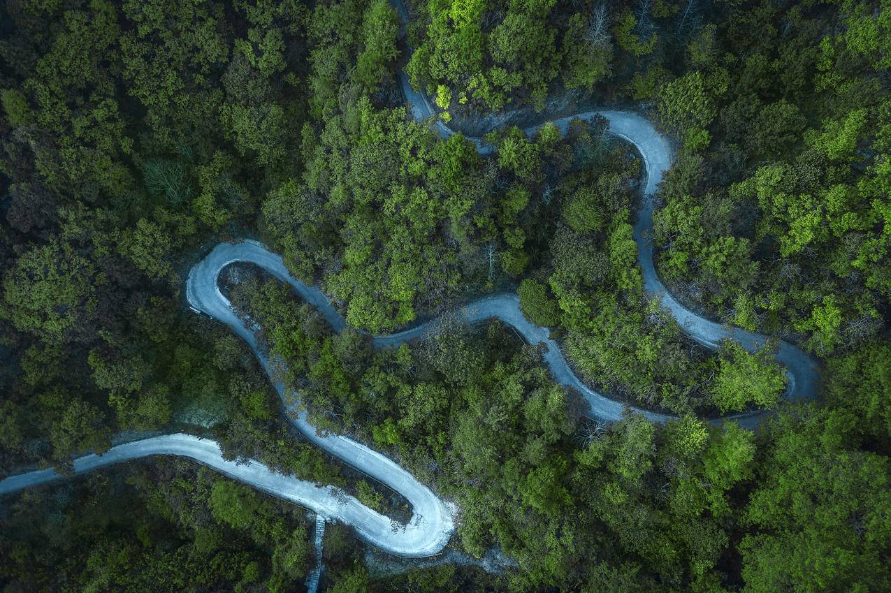 蜿蜒道路 森林 4K超清风景电脑壁纸 4K手机壁纸