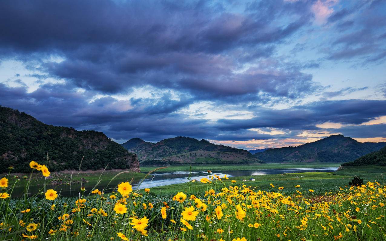 风景晚霞鲜花高清壁纸