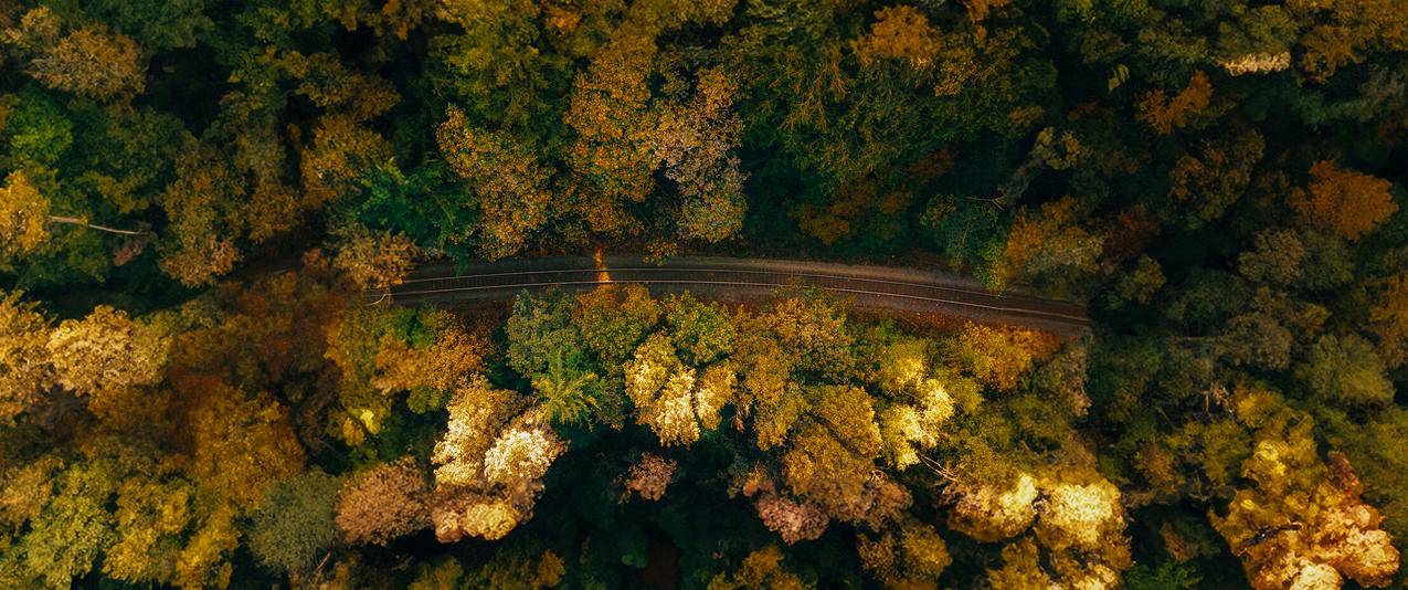 航拍 公路 森林 鸟瞰图 5K 超高清风景