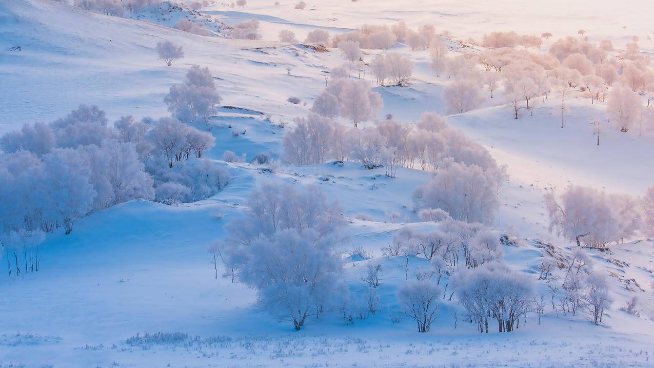 冬季 雪景 白色 风景 4k电脑壁纸