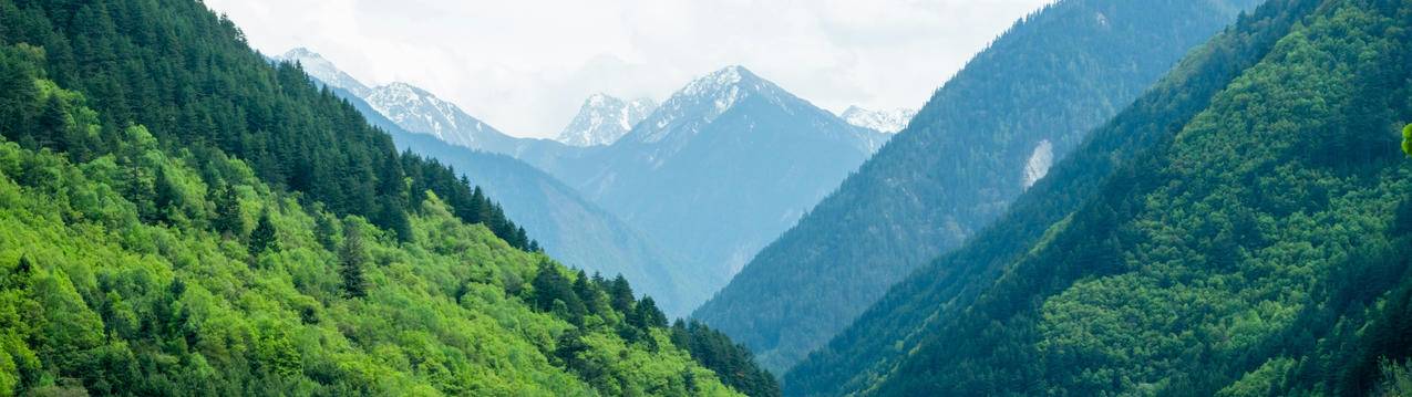 绿色青山5120x1440风景带鱼屏壁纸