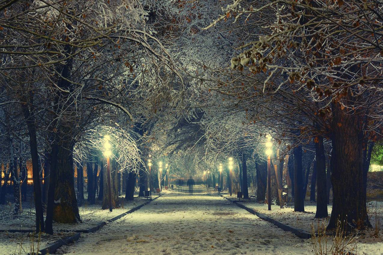 风光风景城市夜景灯火阑珊建筑夜晚晚上高清壁纸