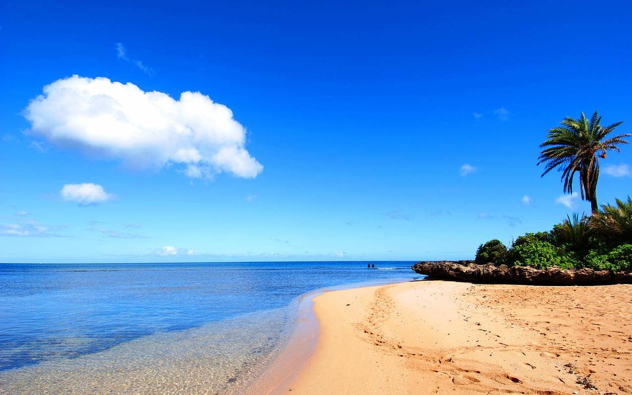 自然风光绿色清新唯美意境炎炎夏日旅游胜地风景海洋天堂大海高清壁纸