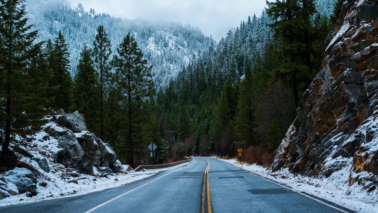 森林道路雪冬天风景4k壁纸