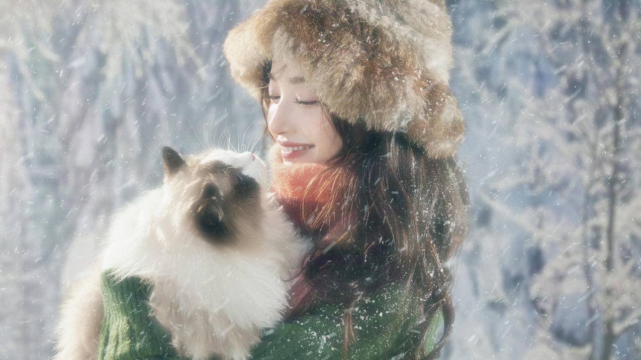 雪地 猫 阳光 温暖干净 4K高清 美女壁纸