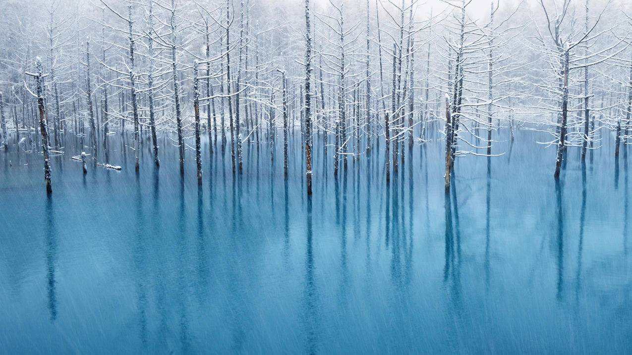 蓝色的池塘 冬天风景 4k高清壁纸