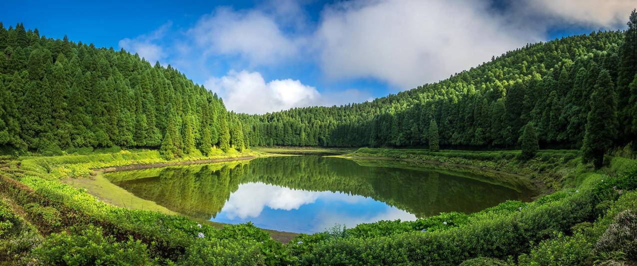 葡萄牙亚速尔群岛天空云草森林湖水风景带鱼屏壁纸