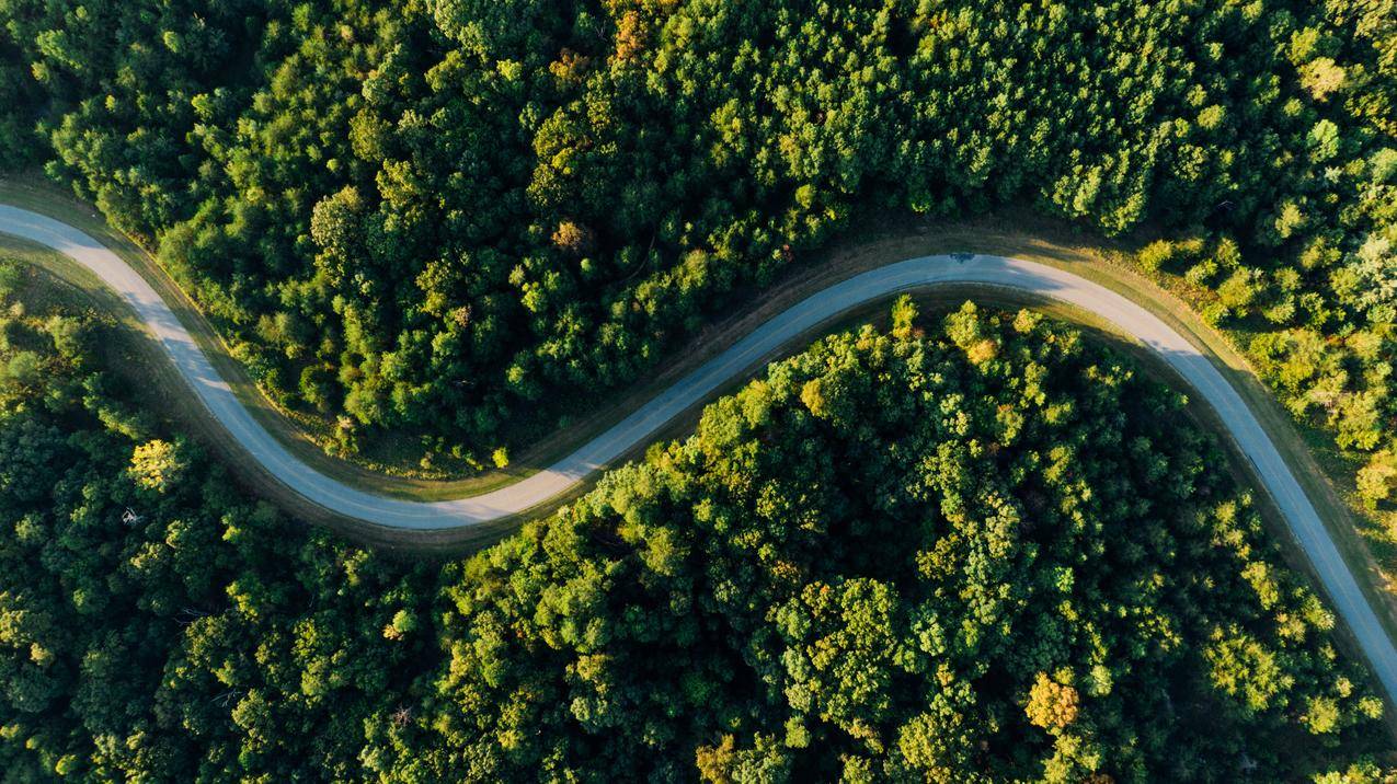 森林公路 航拍风景4k壁纸护眼