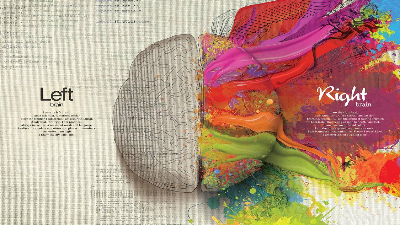 创意大脑艺术5k壁纸