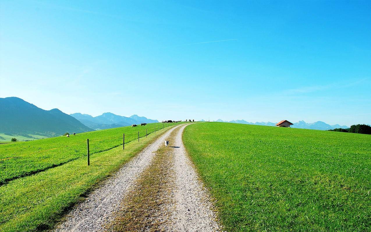 碧绿草原风景旅行风光摄影自然高清壁纸
