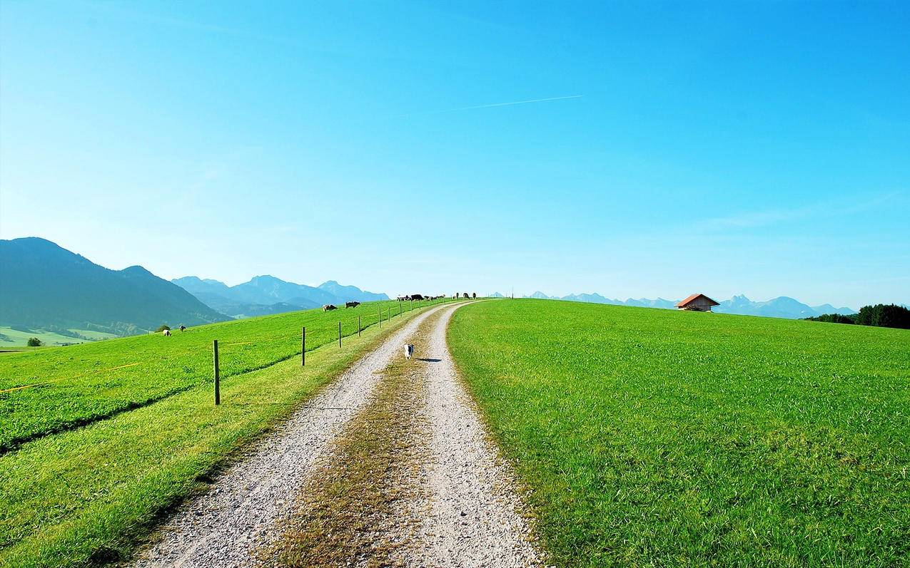 碧绿草原风景旅行风光摄影自然高清壁纸