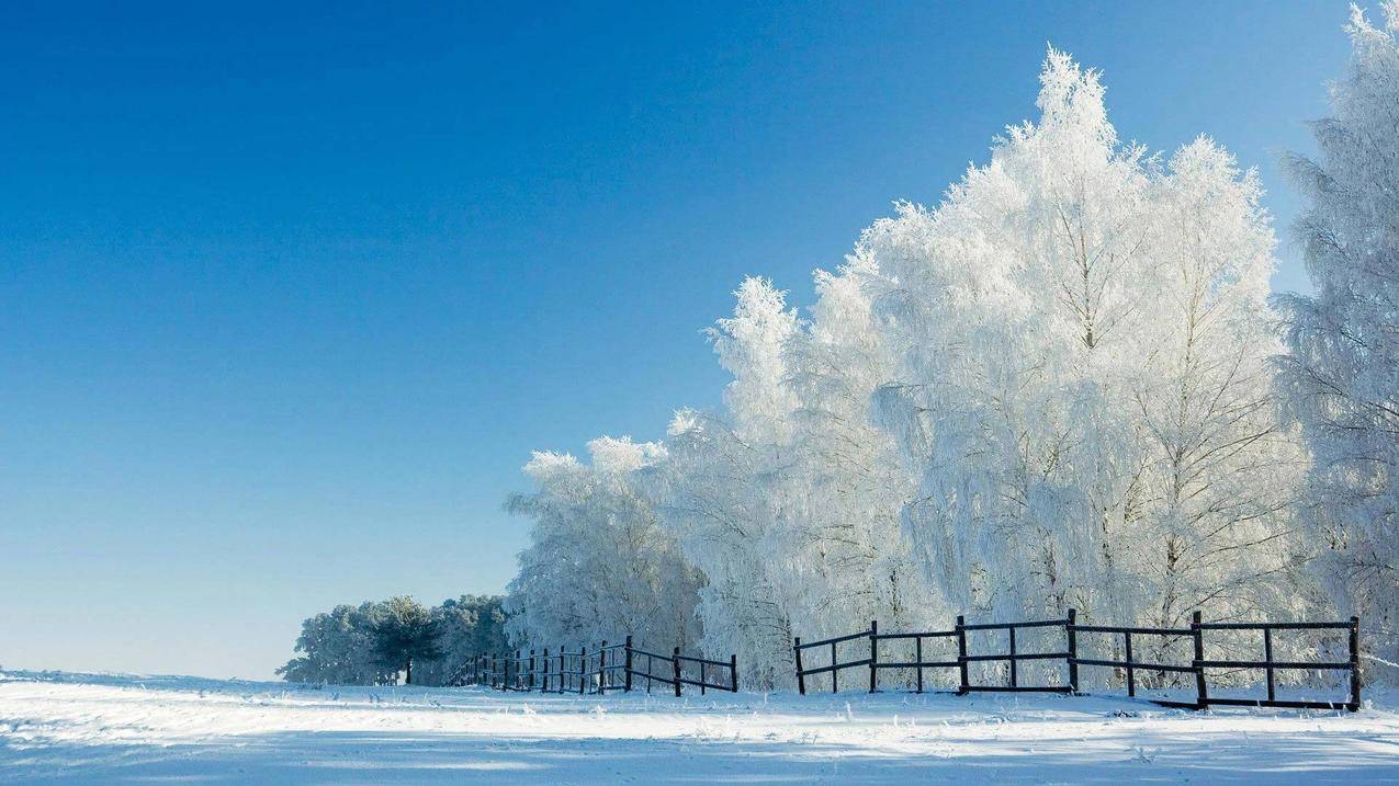 风景冰天雪地雾凇高清壁纸