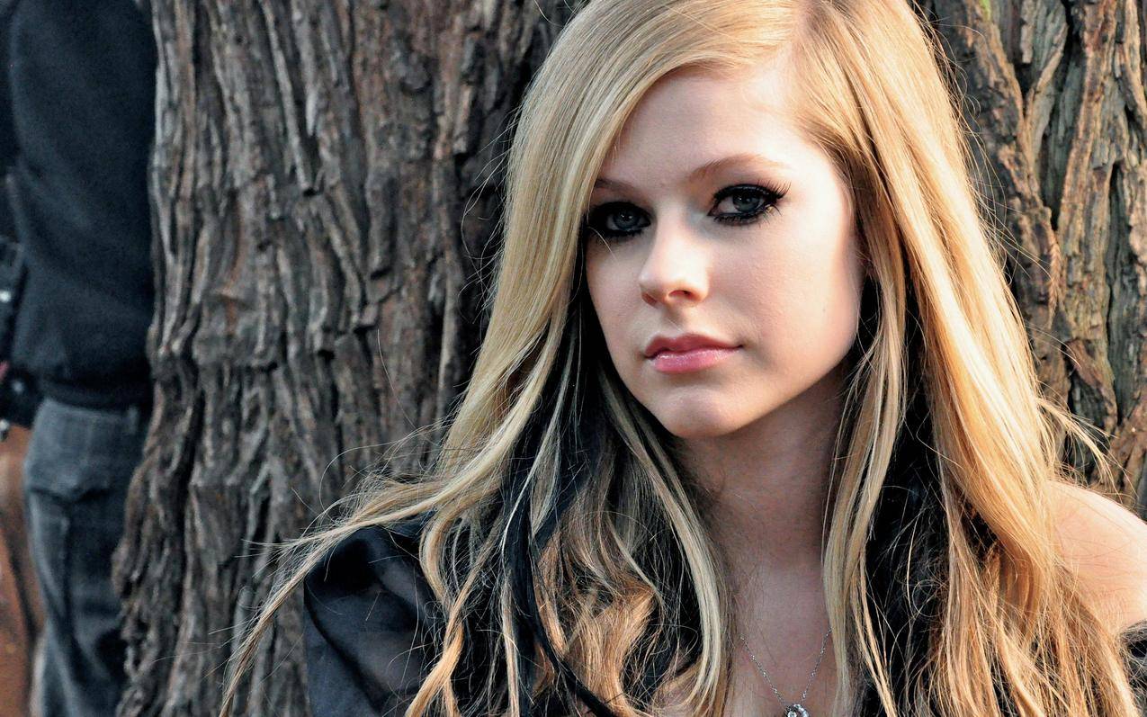 艾薇儿 Avril Lavigne_我爱桌面网提供