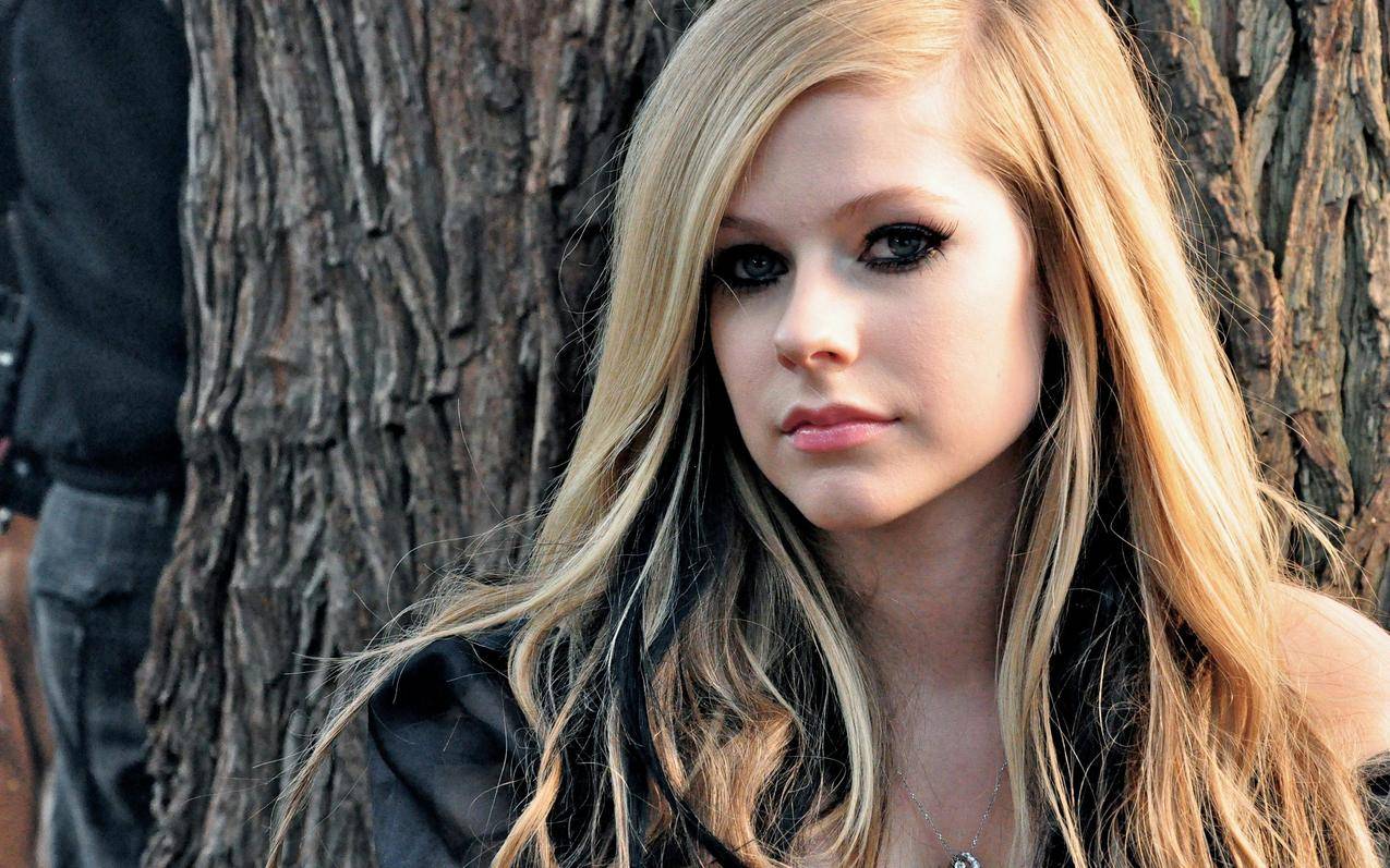 Avril Lavigne 53 HD Desktop壁纸：宽屏：高清晰度：全屏