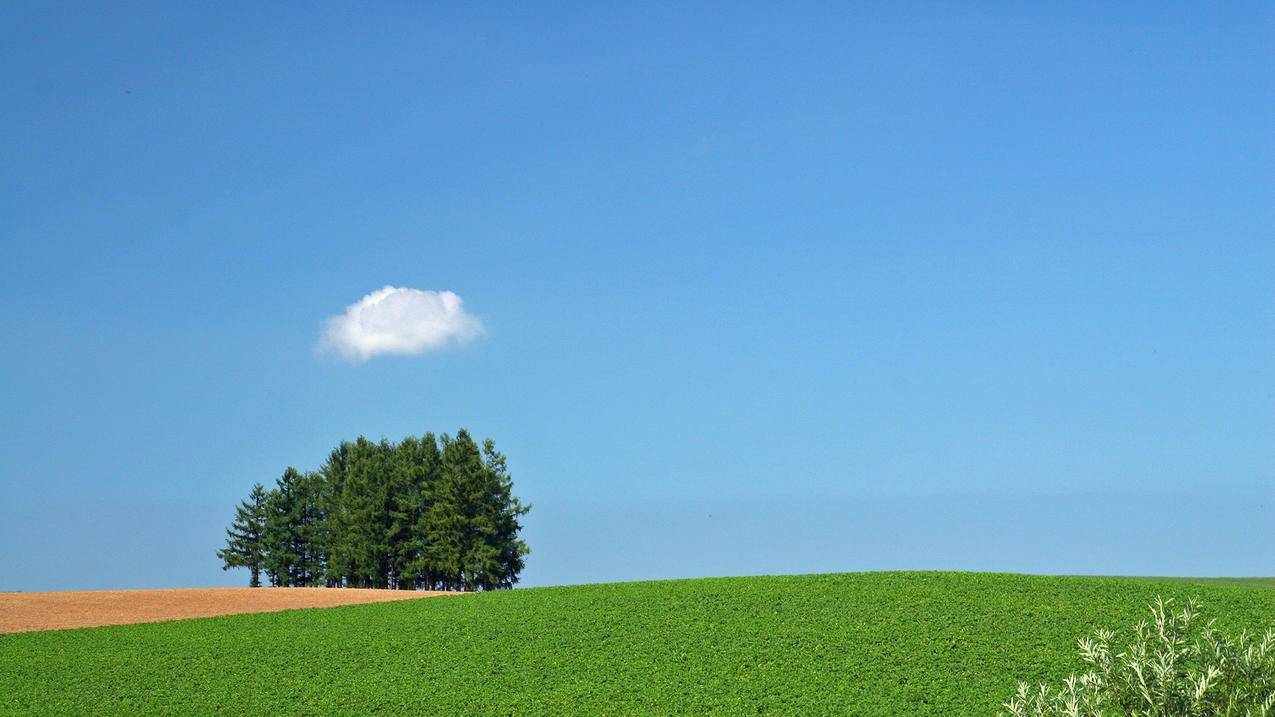 风景自然风光草地草原蓝天白云高清壁纸