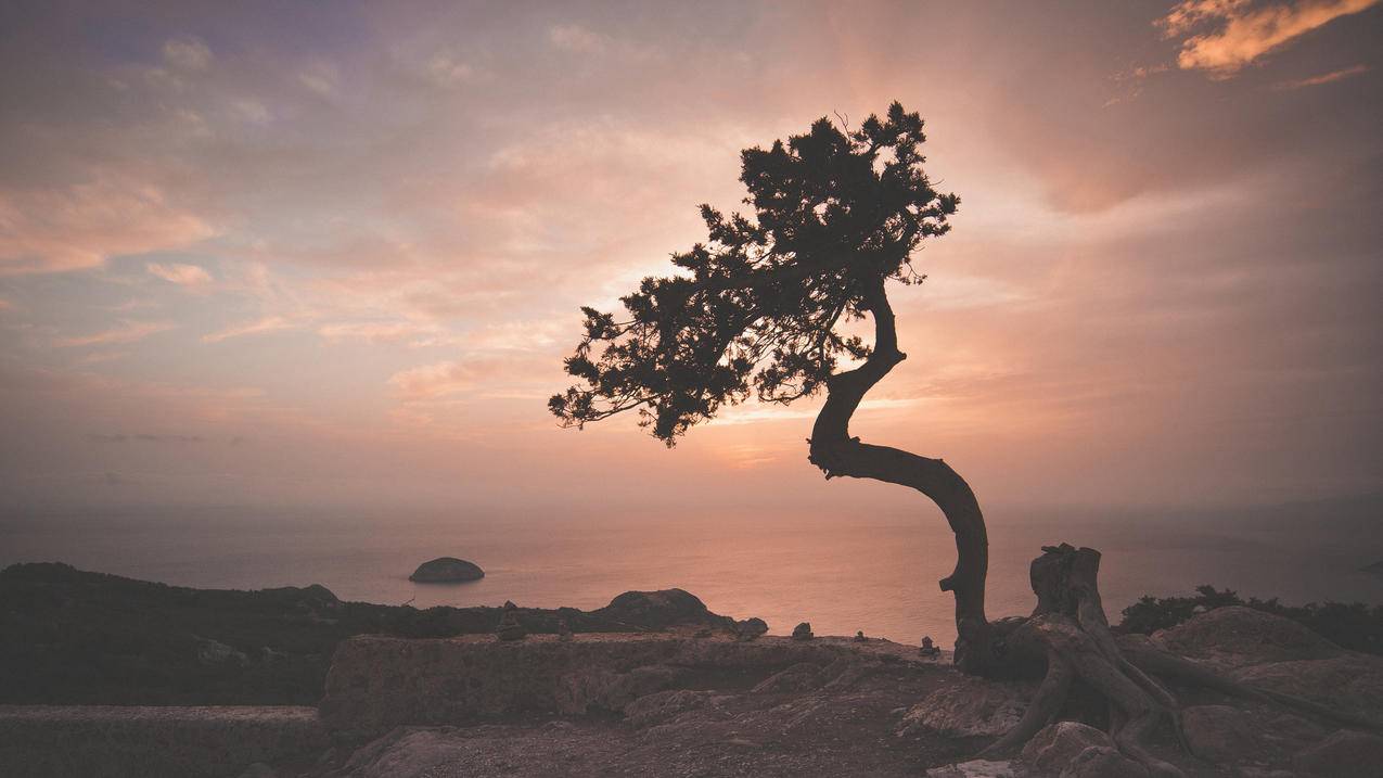 风景夕阳黄昏海岸4k图片