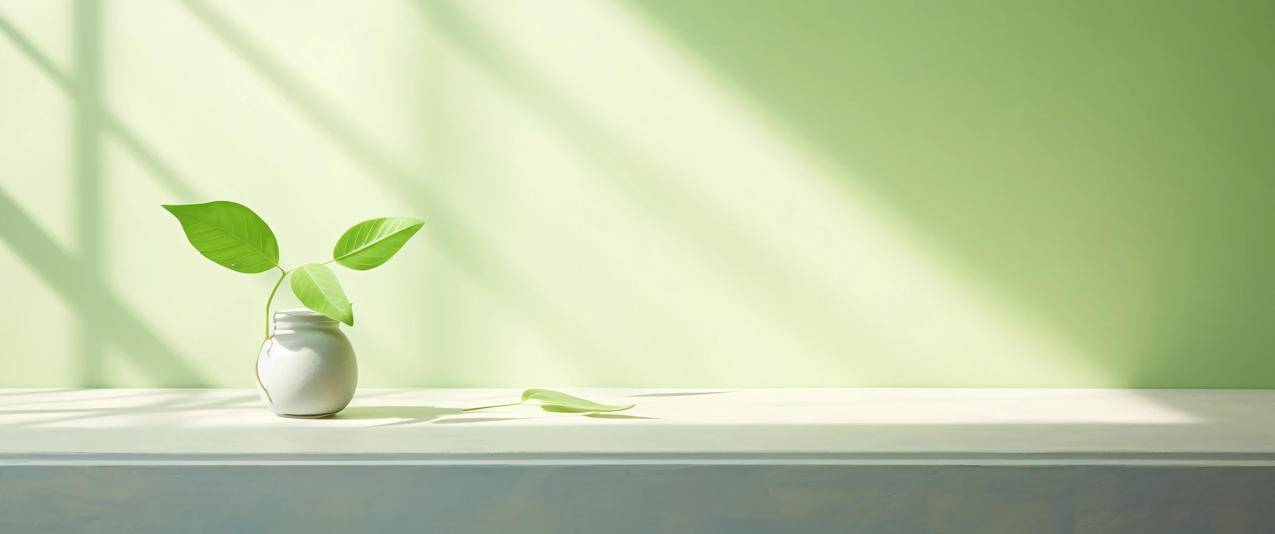 护眼清新绿植窗台3440x1440带鱼屏壁纸