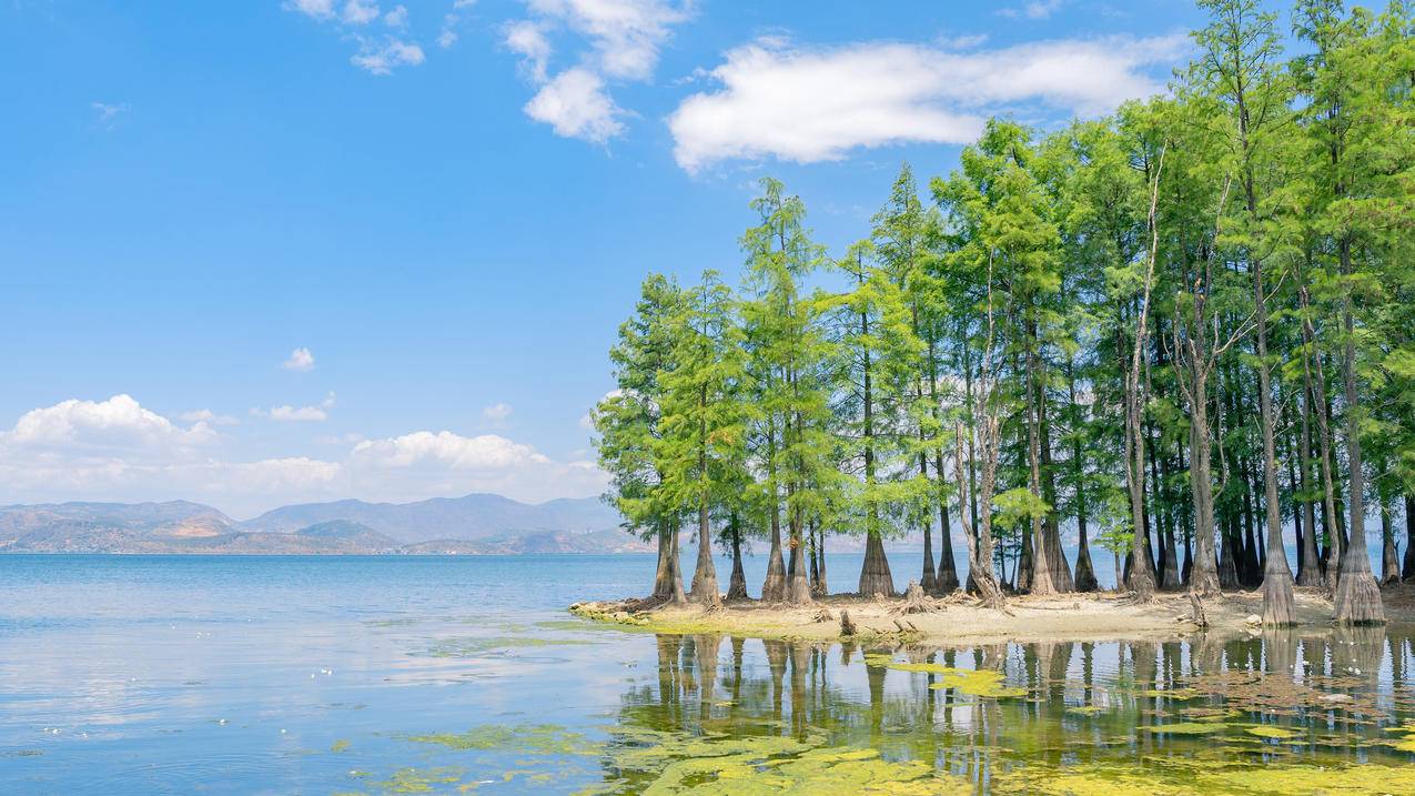 蓝天 白云 树林 湖水 倒影 4k 风景 壁纸