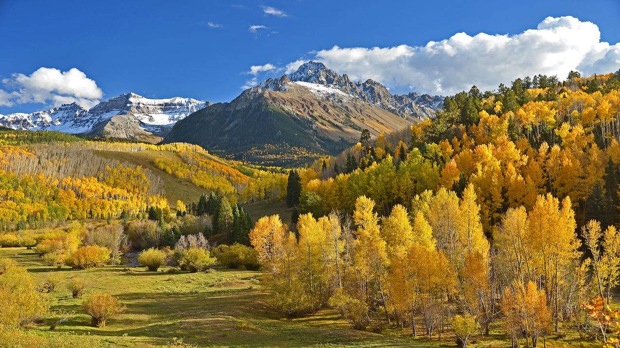 风景秋景秋季山林森林山峰4k图片