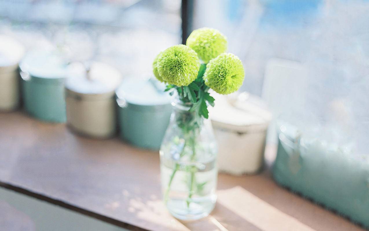 小清新静物写真花瓶高清壁纸