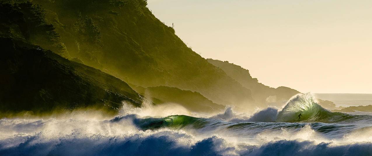 海洋海浪风景带鱼屏壁纸