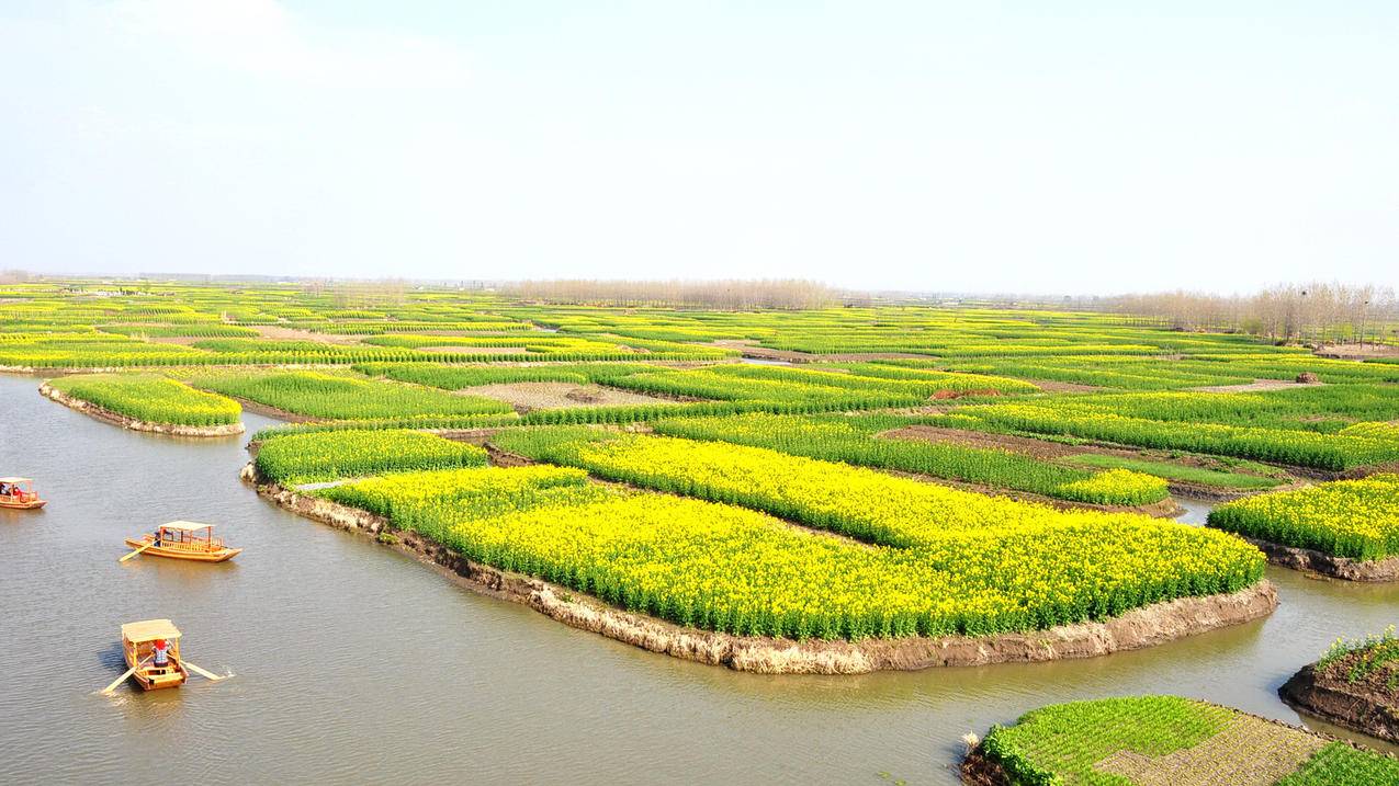 自然风光风景春意盎然春天唯美油菜花江南水乡意境黄色高清壁纸