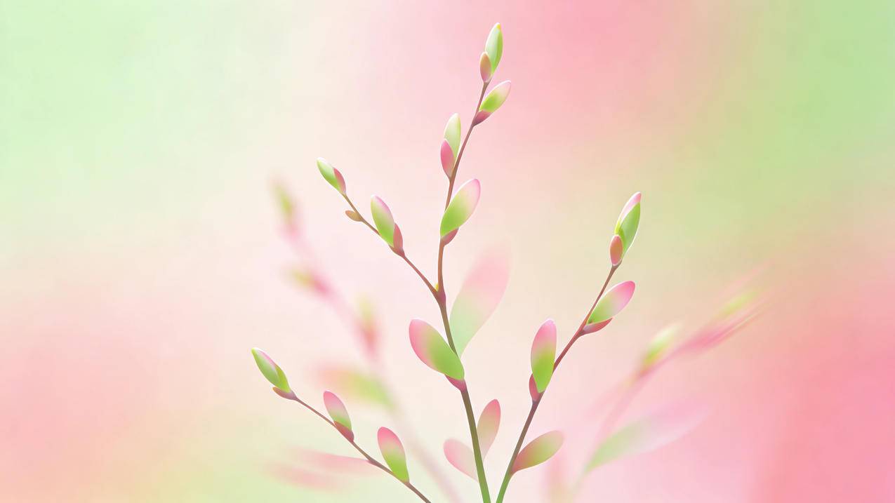 抽芽柳枝 春日 简约 绘画 4K壁纸3840x2160