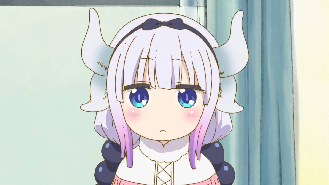 misskobayashi039sdragonmaid4k壁纸