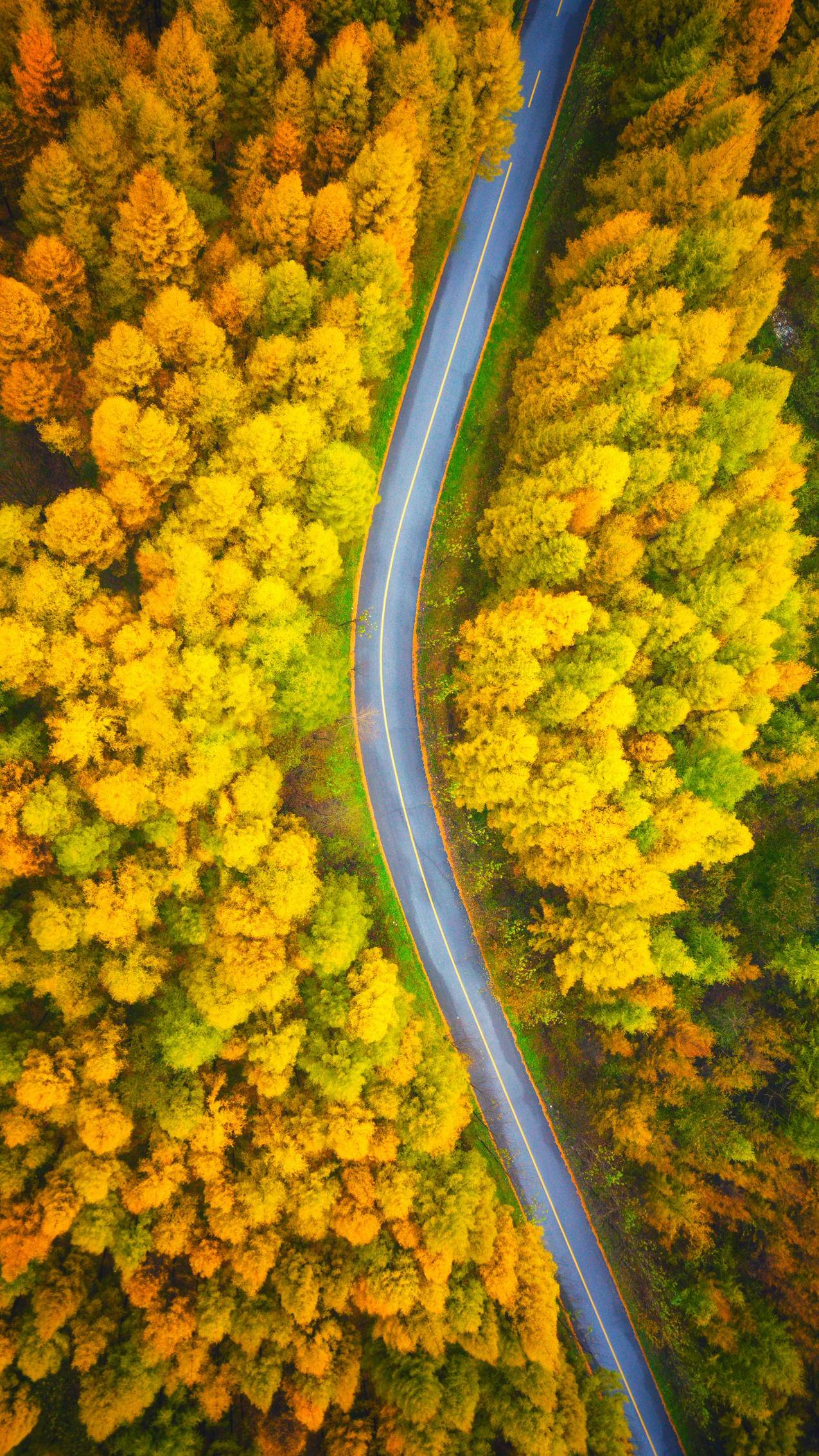 风景 公路 4K专区 4096x2160壁纸风景壁纸图片_桌面壁纸图片_壁纸下载-元气壁纸